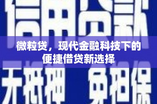 固始微粒贷，现代金融科技下的便捷借贷新选择