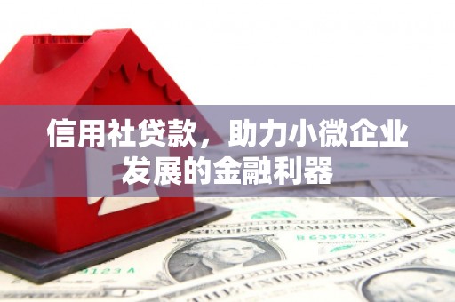固始信用社贷款，助力小微企业发展的金融利器