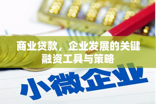 固始商业贷款，企业发展的关键融资工具与策略