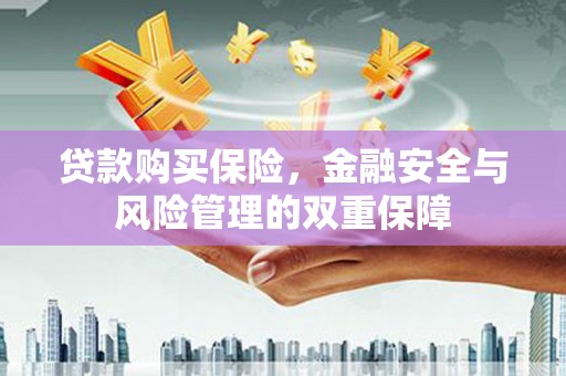 固始贷款购买保险，金融安全与风险管理的双重保障