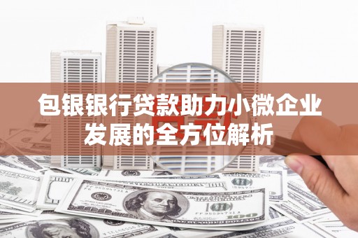 固始包银银行贷款助力小微企业发展的全方位解析