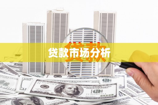 固始贷款市场分析