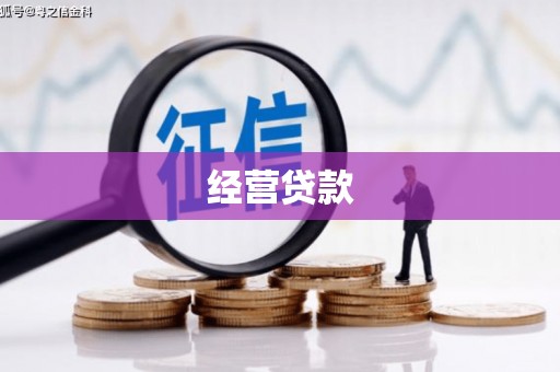 固始经营贷款