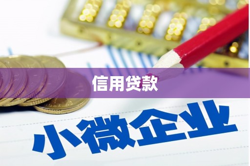 固始信用贷款