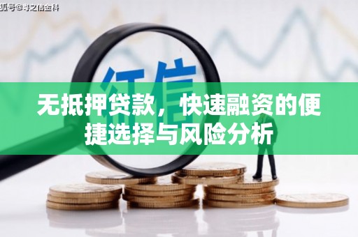固始无抵押贷款，快速融资的便捷选择与风险分析