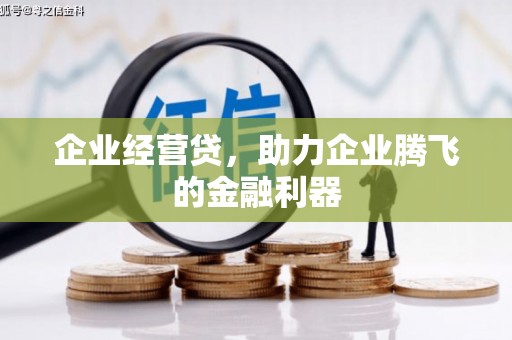 固始企业经营贷，助力企业腾飞的金融利器