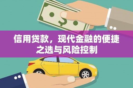 固始信用贷款，现代金融的便捷之选与风险控制
