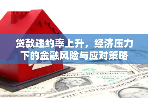 固始贷款违约率上升，经济压力下的金融风险与应对策略