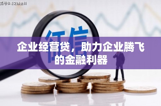 固始企业经营贷，助力企业腾飞的金融利器