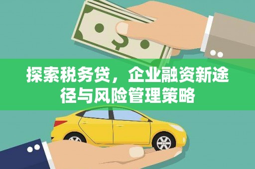 固始探索税务贷，企业融资新途径与风险管理策略