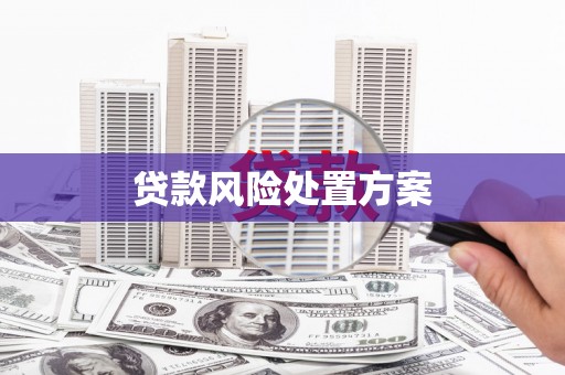 固始贷款风险处置方案