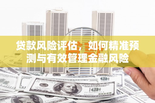 固始贷款风险评估，如何精准预测与有效管理金融风险