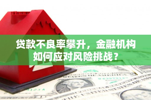 固始贷款不良率攀升，金融机构如何应对风险挑战？