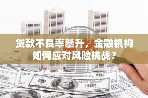 固始贷款不良率攀升，金融机构如何应对风险挑战？