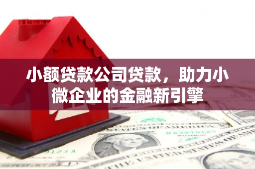 固始小额贷款公司贷款，助力小微企业的金融新引擎