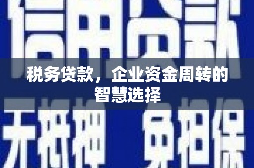 固始税务贷款，企业资金周转的智慧选择