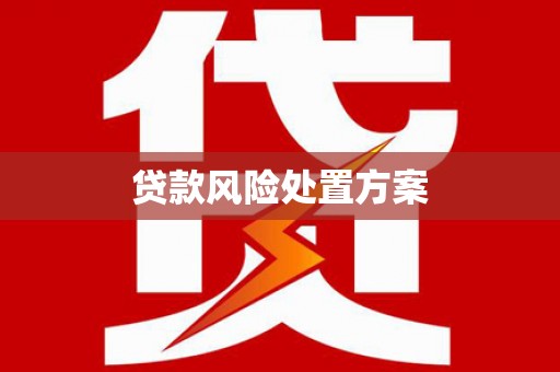 固始贷款风险处置方案