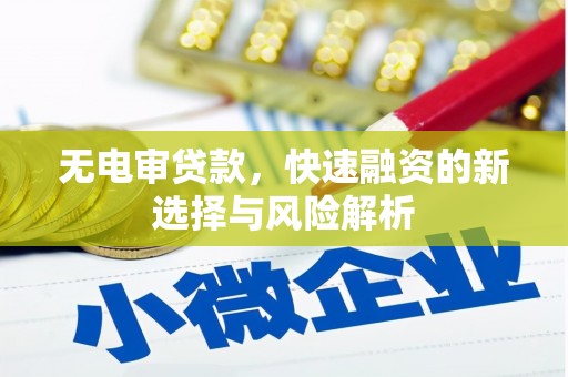 固始无电审贷款，快速融资的新选择与风险解析