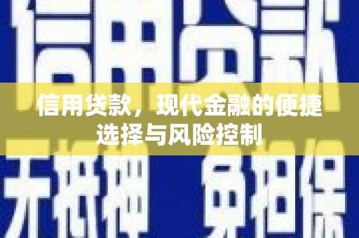 固始信用贷款，现代金融的便捷选择与风险控制