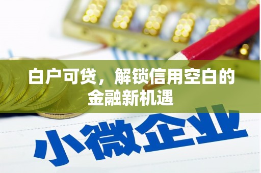 固始白户可贷，解锁信用空白的金融新机遇