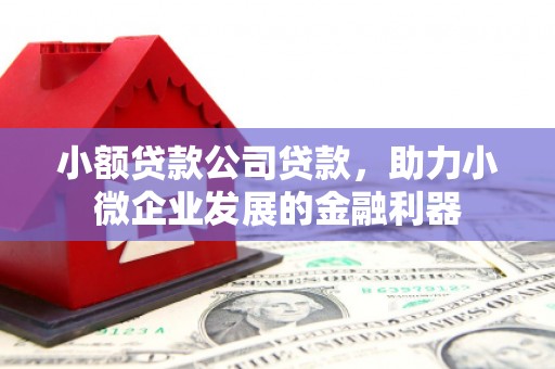 固始小额贷款公司贷款，助力小微企业发展的金融利器