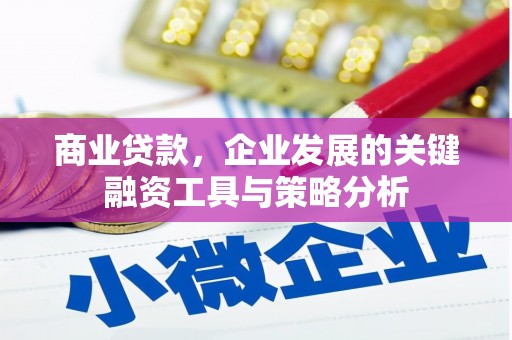 固始商业贷款，企业发展的关键融资工具与策略分析