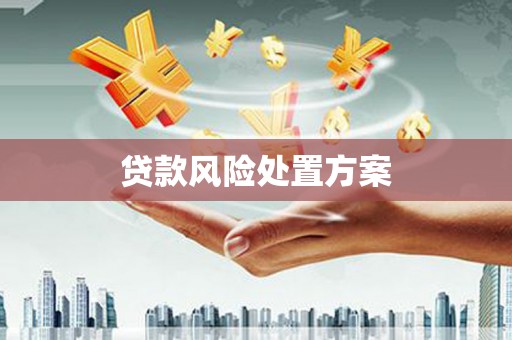 固始贷款风险处置方案