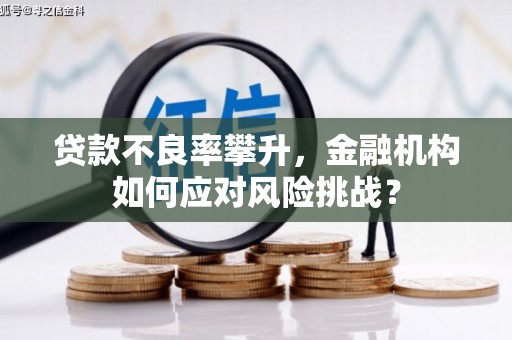 固始贷款不良率攀升，金融机构如何应对风险挑战？