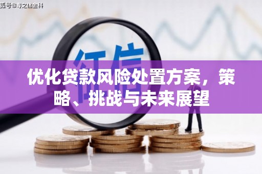 固始优化贷款风险处置方案，策略、挑战与未来展望