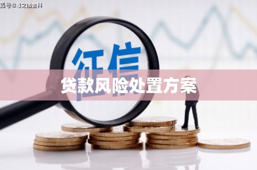 固始贷款风险处置方案