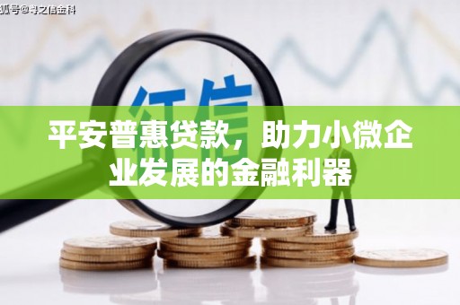 固始平安普惠贷款，助力小微企业发展的金融利器