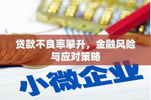 固始贷款不良率攀升，金融风险与应对策略