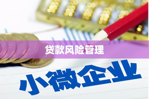 固始贷款风险管理