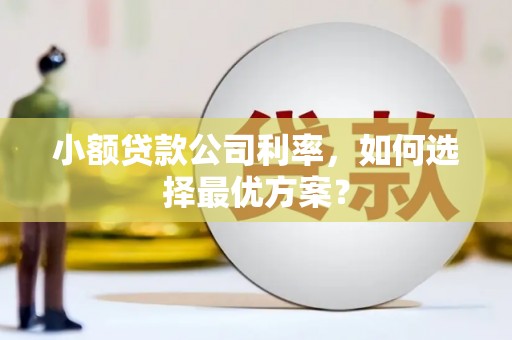 固始小额贷款公司利率，如何选择最优方案？