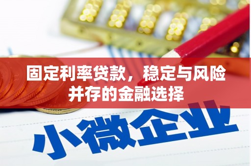 固始固定利率贷款，稳定与风险并存的金融选择