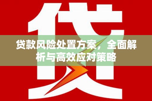 固始贷款风险处置方案，全面解析与高效应对策略