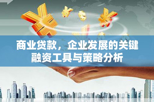 固始商业贷款，企业发展的关键融资工具与策略分析