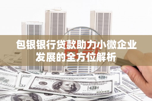 固始包银银行贷款助力小微企业发展的全方位解析