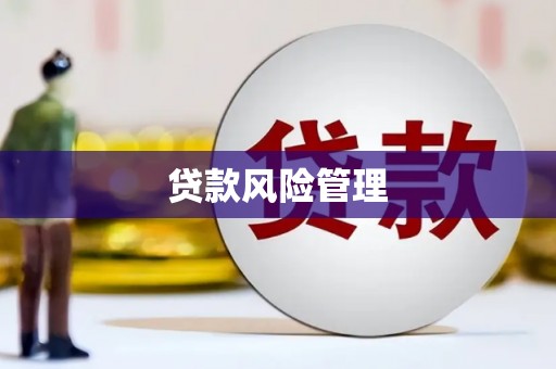 固始贷款风险管理