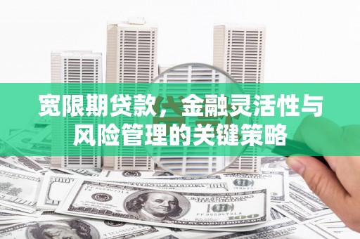 固始宽限期贷款，金融灵活性与风险管理的关键策略