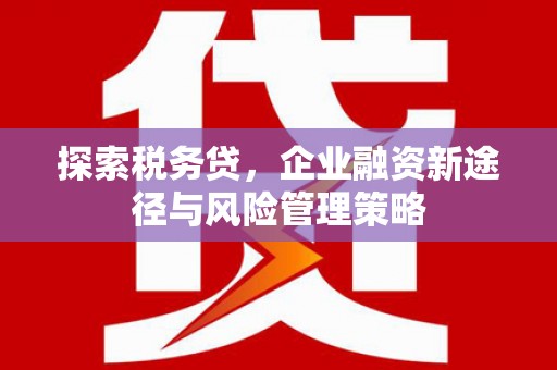 固始探索税务贷，企业融资新途径与风险管理策略