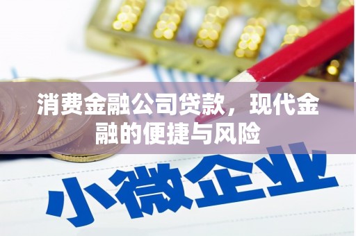 固始消费金融公司贷款，现代金融的便捷与风险