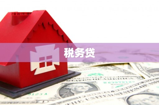固始税务贷