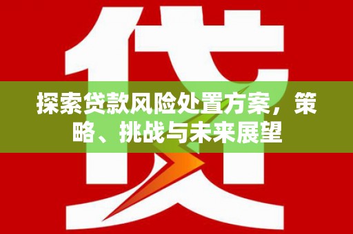 固始探索贷款风险处置方案，策略、挑战与未来展望