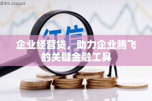 固始企业经营贷，助力企业腾飞的关键金融工具