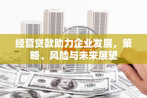 固始经营贷款助力企业发展，策略、风险与未来展望