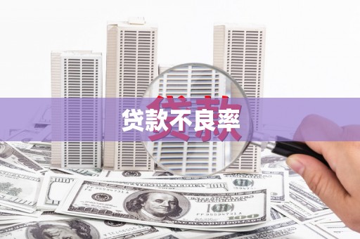 固始贷款不良率