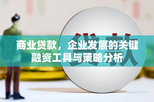 固始商业贷款，企业发展的关键融资工具与策略分析
