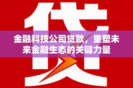 固始金融科技公司贷款，重塑未来金融生态的关键力量