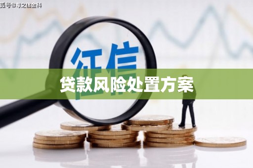 固始贷款风险处置方案